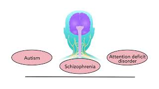 Identification of a molecular cause of a neurodevelopmental disorder