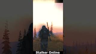 Ушел в выброс | Stalker Online | Stay Out  #shorts #stalker #games