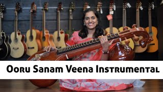 Ooru Sanam | Illayaraja and MSV instrumental| Ranjani mahesh| Veena | Mohan hits instrumental |Radha