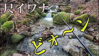 【源流キャンプ】一の瀬高原☆尺イワナの住む沢で！