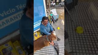 Ayudando perritos #ayudaanimal #ayudandoapersonas #ayudaespíritual #ayuda #solidaridad #perro #dogs