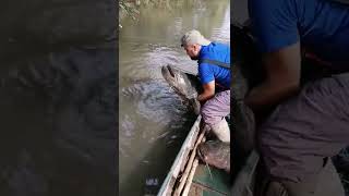 Dev Yayın Balığı ile Dans 3.Part- Dance with giant catfish 3.Part -NEHİRDE DEHŞET-/-Охота на сома-3