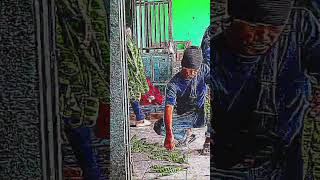 Wah matanya menyala #song #music #funny #masukberanda #shortvideo