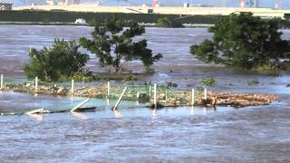 淀川河川公園　佐太西地区　テニスコート　 2013.09.16　　台風１８号の爪あと