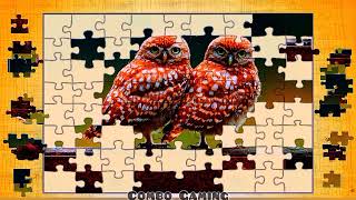 puzzle #1317 gameplay || new hd cute owls birds jigsaw puzzle || @combogaming335