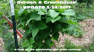 ⟹ GREENHOUSE AND GARDEN TOUR |  5/24/2017 | Beans, peppers, tomatoes