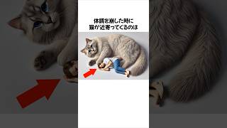 猫が体調不良の飼い主に寄ってくる衝撃の理由に関する雑学 #猫 #雑学 #可愛い #面白い #豆知識