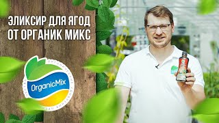 Эликсир для ягод от Органик Микс / Подробно о продукции Органик микс