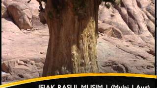 Emas Promo August - Jejak Rasul 1