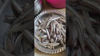 ஞாயிறு கிழமை special மின்🤤‼️ Sunday special fish #shortsfeed #food #fish