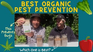 This Organic Pest Protection Can Stop Bugs From Attacking Your Plants