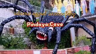 ပင်းတယ ရွှေဥမင် လိုဏ်ဂူတော် ( Pindaya Caves )