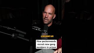 How peckerwoods recruit new prison gang members