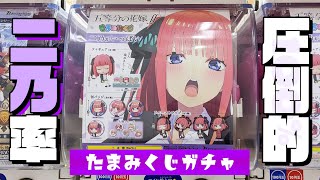 フィギュアが当たるくじ形式のガチャ！五等分の花嫁∬ たまみくじ 二乃がいっぱいガチャ回してみた