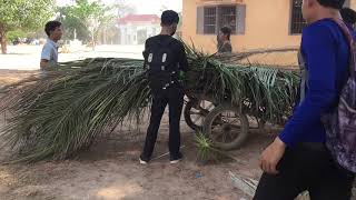 vlog #2 ថ្ងៃរៀបចំសម្រាប់ថ្ងៃសង្ក្រាន្តវិទ្យាល័យជប់វារី