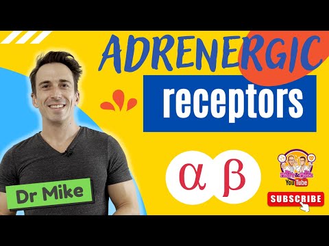 What does beta1 adrenergic receptor do?