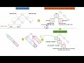 Leetcode 114. Flatten Binary Tree to Linked List | Easy-to-Understand DFS (No Extra Memory / Stack)