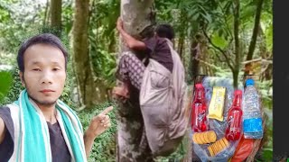 plucking betel leaves//inside the deep jungle#villagelife