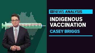 New data shows widening gap between Indigenous vaccine rates and rest of the country | ABC News