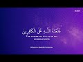 ساعة كاملة🕛🎧 تلاوة القران بصوت عبد الرحمن مسعد للدراسة والتركيز 📚 راحة نفسية😌 abdulrhman mosad