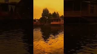 beautiful kashmir dal Lake #music #song #bollywood #artist #love               song in dino