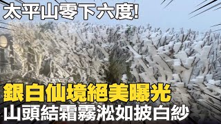 零下六度的仙境! 太平山霧淞結霜\