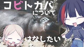 [VOICEROID解説] コビトカバについてはなしたいーI want to talk about Pygmy Hippopotamusー