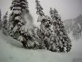 alpental pfunk breakover trees with the lot 3 crew