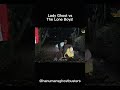 POV:- Lady Ghost vs The Lone Boys 🤣| Bajrang #hanuman #ghost #theboys