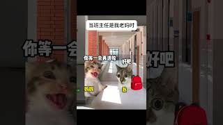 #猫meme #cat #猫meme小剧场 #猫meme剧场