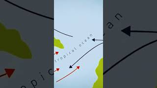 Thermal maximum of the Paleocene-Eocene transition #universe #history #earth #documentary