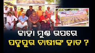 କାହା ମୁଣ୍ଡରେ ପଦ୍ମପୁର ଚାଷୀଙ୍କ ହାତ ? | Odisha Reporter