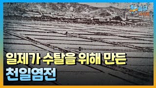 우리나라에 천일염이 도입된 시기ㅣ뉴튜브 사진관[75회] / YTN2