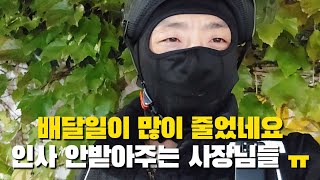 배달가방 추천 TORTUE 토투 배달가방 | 배달시장이 많이 죽었네요