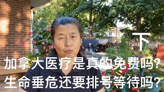 猴哥砍树受伤严重，法律援助人士要帮助走法律程序起诉干活雇主