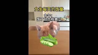 这就是女生每天的饭量吗！|||#猫meme话题# #猫meme日常话题# #猫meme看起来简单剪起来累死了话题# #内容过于真实话题# #打工人精神状态话题# #涨粉涨赞用薯条话题#