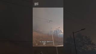 [현장의재구성] 불길에 휩싸인 도로 #Shorts / 연합뉴스TV (YonhapnewsTV)