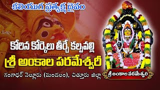 శ్రీ అంకాల పరమేశ్వరి దేవస్థానం, sri angala parameswari Chittoor Temple|| @viswabharathtv