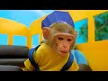 kiki monkey try to find hiding baby in colorful ball pit ball swimming pool kudo animal kiki