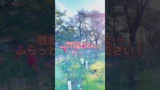 【10/31まで】開成山公園内のバラ園が見頃です！紅葉に染まりつつある園内と一緒に楽しんでみませんか〜♪ #shorts