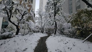 경기침체는 피할 수 없다. 현금이 왕인 시대가 왔다. 통장 잔고가 많아야 위기를 극복할 수 있다. 물가 오르고 월급 그대로여도, 더욱 아껴야 한다. 그래야 생존한다.