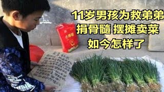 河南11岁男孩儿闫一航，为救弟弟摆摊卖菜，捐骨髓，如今怎样了