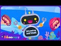 Floor is Lava Song for Kids | Summer Dance & Move | The Kiboomers Kids Songs