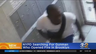 Search for Brooklyn shooting suspect