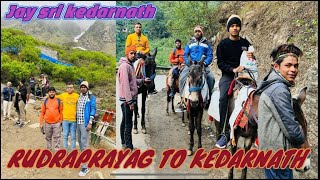 vlog no-5 | Kedarnath yatra 2022 | kedarnath trip vlog | rudraprayag to kedarnath by horse .