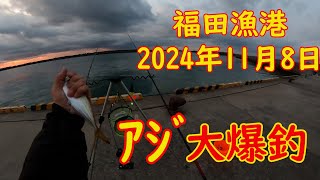 アジ釣り最高です。　鯵大爆釣　遠州灘　磐田市福田漁港2024年11月8日（金）朝6時~7時　大爆釣です。　昨日も良かったらしいです。　アジ回遊中