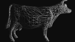 mesh decimation / progression - cow.off