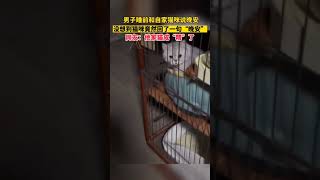 男子和自家猫咪说晚安，没想到猫咪竟回了一句“晚安”！#万物皆有灵性 #猫咪成精了