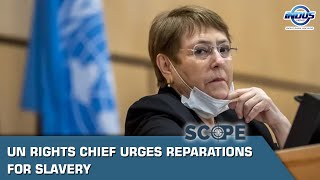 UN rights chief urges reparations for slavery | Scope | Indus News