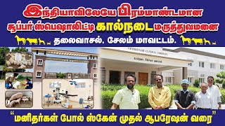 பிரம்மாண்டமான சூப்பர் ஸ்பெஷாலிட்டி அரசு கால்நடை மருத்துவமனை। ஸ்கேன் முதல் ஆபரேஷன் வரை। தலைவாசல்